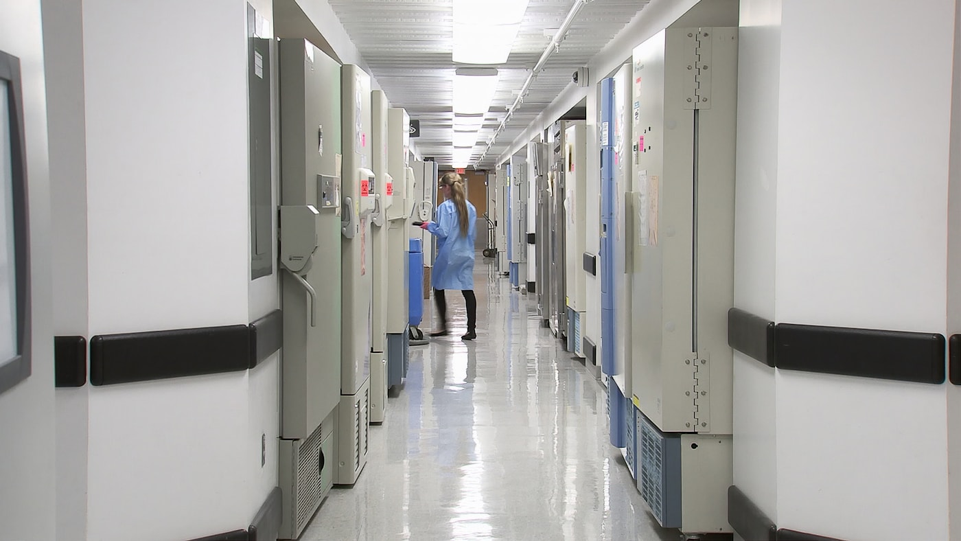 Hospital ward corridor